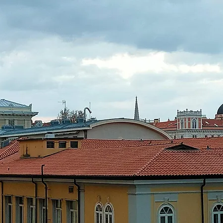 Living - Professional *